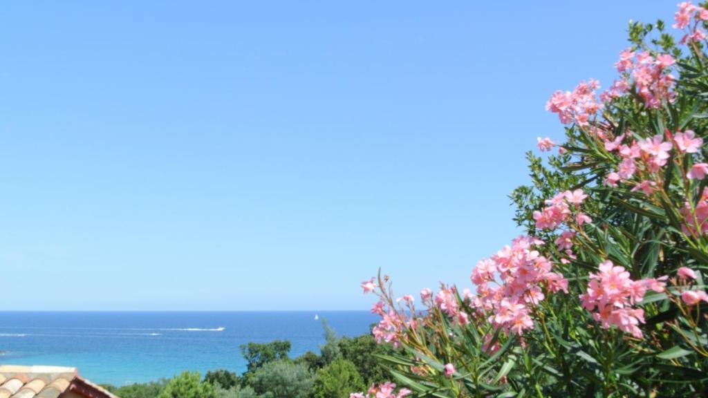 Hotel Residence San Pieru Tarcu Værelse billede